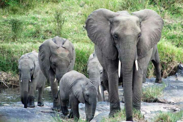 WhatsApp Image 2026-02-12 at 4.29.19 PM (2)