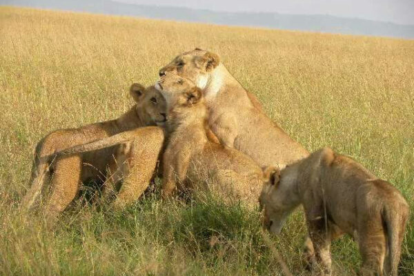 WhatsApp Image 2026-02-12 at 4.29.19 PM