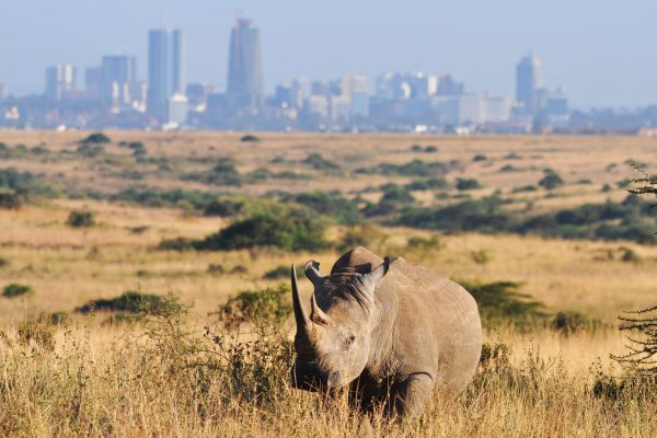nairobi