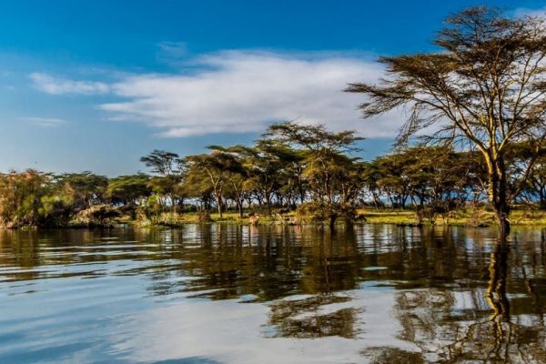 naivasha