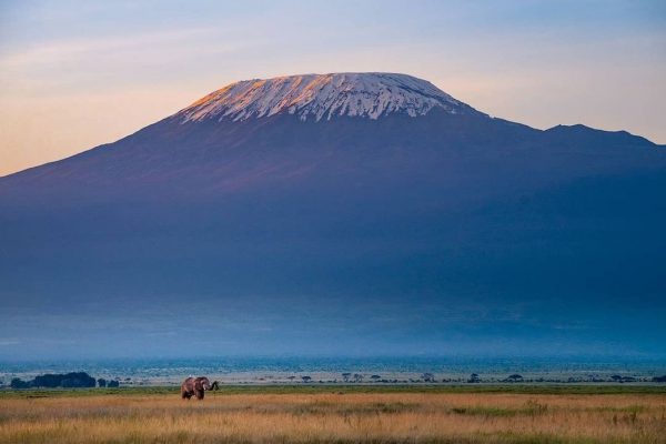 amboseli04