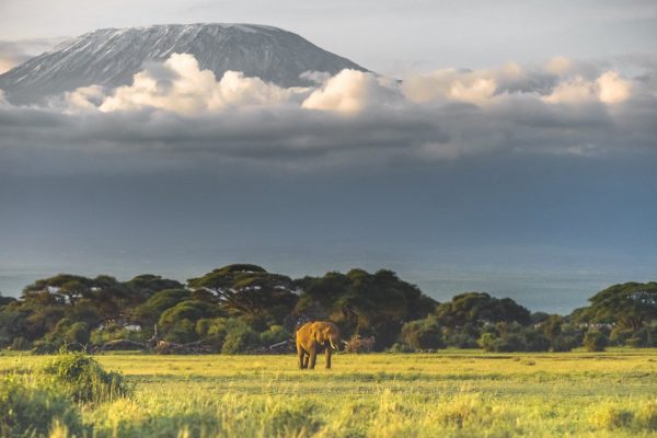 amboseli5