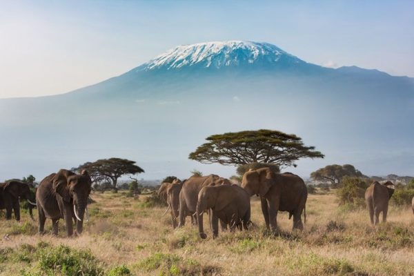 arusha