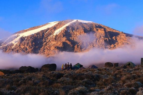 kilimanjaro