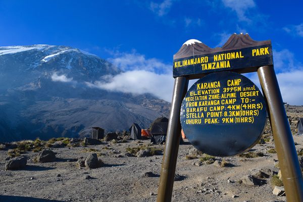 kilimanjaro05