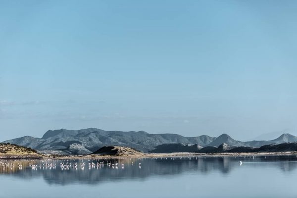 magadi