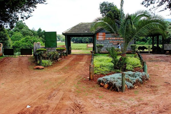 mtelgon1