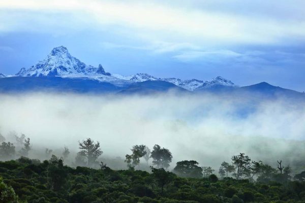 mtkenya