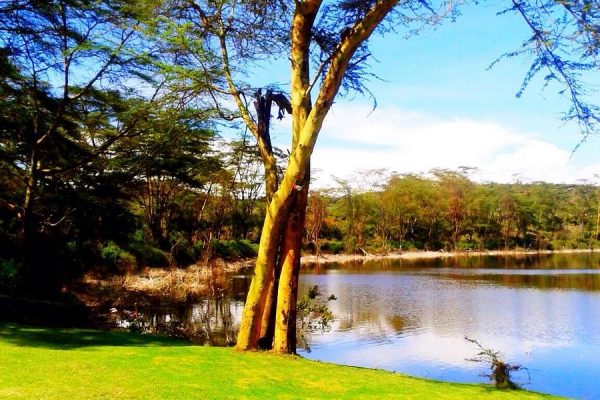 naivasha