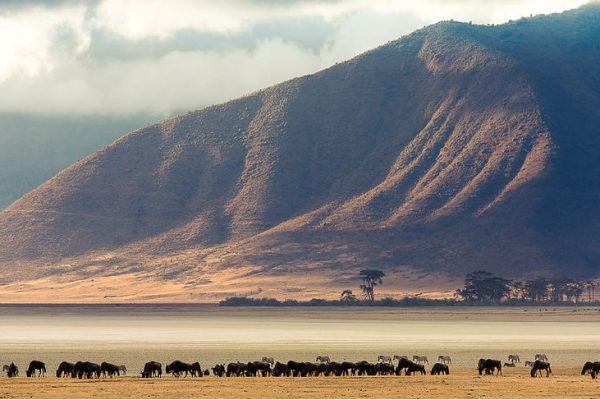 ngorongoro-crater